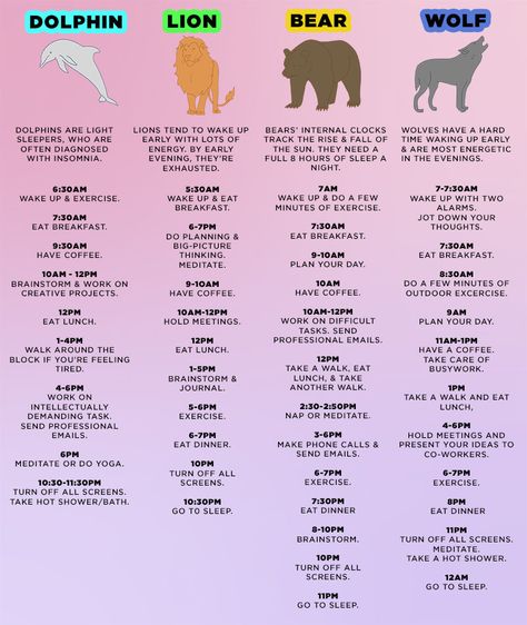 Sleep-animals-chart | The 4 Types Of ‘Sleep Animals,’ And How Knowing Yours Unlocks Your PotentialWhy People Who Sleep Late Are Usually Smarter Dolphin Chronotype Schedule, How To Stop Snoring, 8 Hours Of Sleep, When You Sleep, Stretching Exercises, Sleeping Positions, How To Wake Up Early, Insomnia, Better Sleep