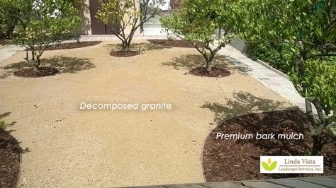 Decomposed granite and premium bark mulch in the California backyard orchard. Dg Landscaping Backyards, Backyard California, Southern California Backyard, Granite Patio, Backyard Orchard, California Landscaping, Inexpensive Backyard Ideas, Decomposed Granite Patio, California Backyard