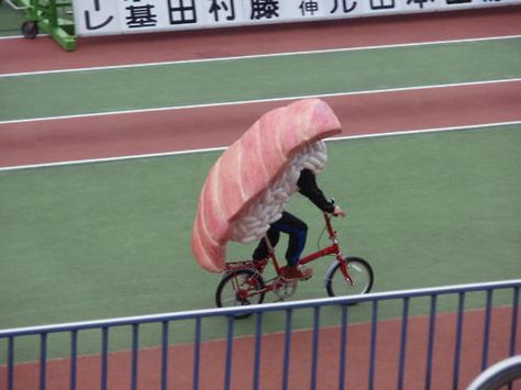 Sushi Costume Bike, Funny