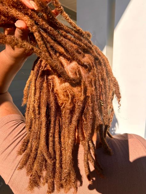 Funky Hair Colors, Short Locs Hairstyles, Dyed Hair Inspiration, Cute Box Braids Hairstyles, Funky Hairstyles, Fancy Hairstyles, Dreadlock Hairstyles, Hair Dye Colors, Natural Hair Tips