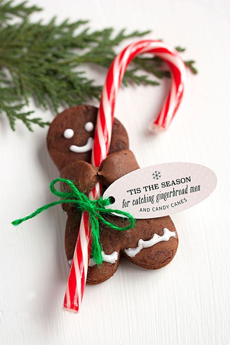 Chocolate Gingerbread Men holding Candy Canes...these are the BEST Christmas Cookie Recipes! Cookies With Candy, Chocolate Gingerbread, Best Christmas Cookie Recipe, Best Christmas Cookies, Cookies For Kids, Xmas Cookies, Xmas Food, Gingerbread Men, Christmas Cooking