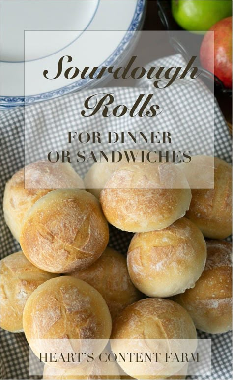 Sourdough Buns, Sourdough Ideas, Sourdough Breads, Sourdough Rolls, Rolls Easy, Bread Sourdough, Bread Dishes, Handmade Food, Discard Recipes