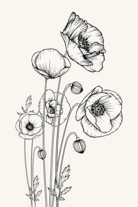 Poppy Flower Drawing, Flower Black And White, Easy Flower Drawings, Poppy Drawing, Poppies Tattoo, Flower Line Drawings, Flower Drawing Tutorials, Flower Art Drawing, 강아지 그림