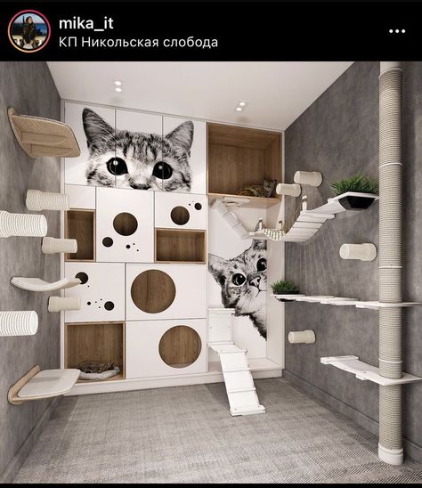 Cat Room Decor, Cat Furniture Design, Katt Grejer, Cat Patio, Cat Hotel, Cat Wall Furniture, Cat House Diy, Color Ideas For Blondes, Hair Color Ideas For Blondes