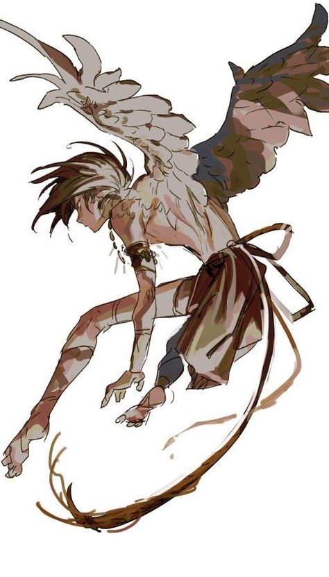 Winged People, Bird People, Arte Inspo, Mythical Creatures Art, Dessin Adorable, Creature Concept Art, Arte Fantasy, 영감을 주는 캐릭터, Art Poses