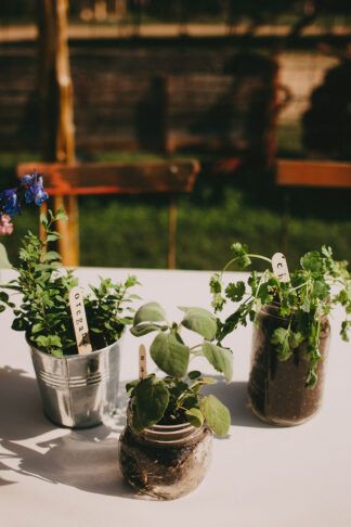 Low Waste Sustainable Wedding Ideas: use home grown herbs in upcycled glass jars and tins as table decor, and favors!  https://www.confettidaydreams.com/eco-friendly-zero-waste-wedding-guide/  #wedding #zerowastewedding #ecofriendlywedding #veganwedding #sustainablewedding #greenwedding #lowwastewedding #ethicalwedding #weddingideas Sustainable Wedding Ideas, Zero Waste Wedding, Wedding Favor Table, Eco Wedding, Sustainable Wedding, Eco Friendly Wedding, Succulent Wedding, Wedding Rentals, Wedding Guide