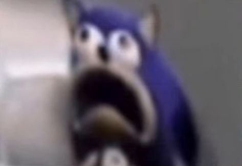 #sonic #sonicthehedgehog Scared Face, Sonic Face, Little Big Planet, Shocked Face, Sonic Funny, Weird Images, Goofy Pictures, Reaction Face, Silly Images