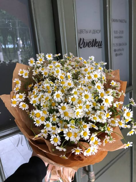 Boquette Flowers, Nothing But Flowers, Flower Therapy, Beautiful Bouquet Of Flowers, Spring Vibes, Beautiful Bouquet, Love Flowers, My Flower, Pretty Flowers