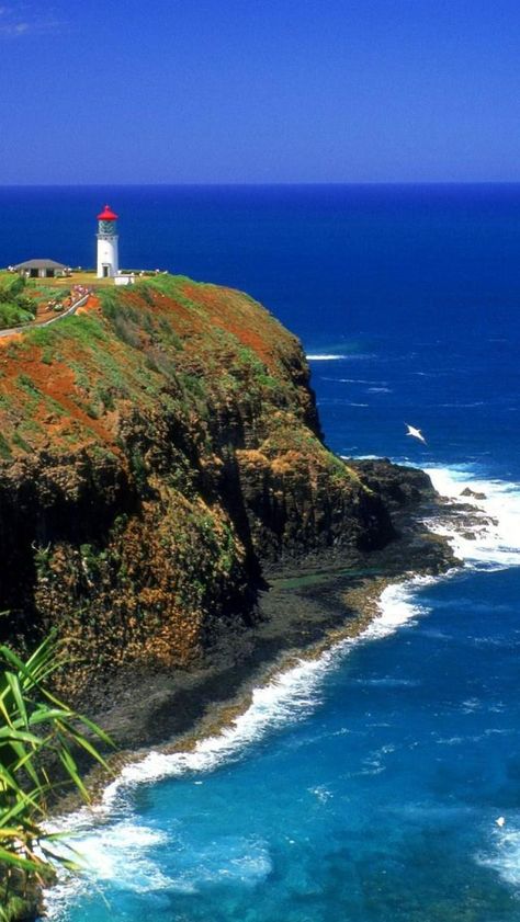 Lighthouse Island, Kilauea Lighthouse, Kauai Vacation, Beach Honeymoon Destinations, Beach Honeymoon, Hawaii Usa, Light Houses, Kauai Hawaii, Hawaii Vacation