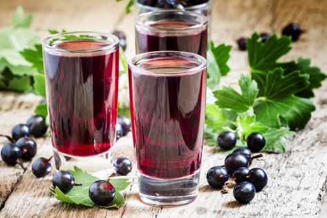 Black Currant Juice Recipe, How to make Black Currant Juice Recipe - Vaya.in Black Cherry Juice Benefits, Cherry Juice Benefits, Black Currant Juice, Black Cherry Juice, Wine Cubes, Liqueurs Recipes, Fruit Benefits, Ice Wine, Cherry Recipes