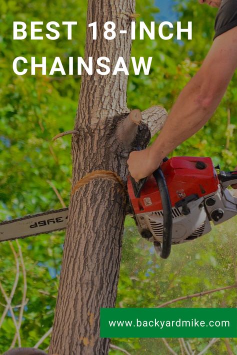 Chainsaw Reviews, Types Of Saws, Gas Chainsaw, Electric Chainsaw, Small Engine, Just Imagine, Off Grid Living, Small Trees, Off Grid