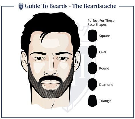 10 Facial Hair Styles EVERY Man Should Know - 2022 Guide Trim Beard Neckline, Men Facial Hair, Hair For Round Face, Beard Neckline, Short Boxed Beard, Facial Hair Styles, Mustache And Goatee, Men Facial, Patchy Beard