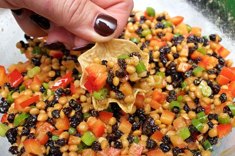 Lentil Appetizer Recipes, Crudite Dip Recipes, Lentil Appetizer, Curried Lentil Salad, Lentil Bean Dip, Caviar Lentils Recipe, Red Lentil Dip, Lentil Dip Recipe, Vegan Appies