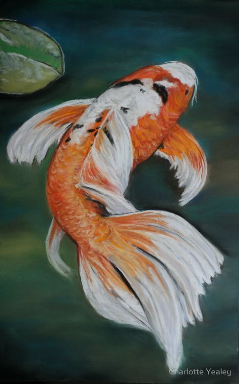 Butterfly Koi Fish, Koi Fish Art, Butterfly Koi, Art Vampire, Coy Fish, Koi Painting, Dengeki Daisy, Koi Art, Carpe Koi