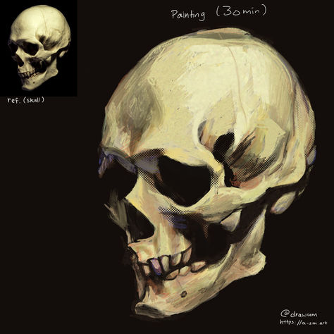 a quick 30 min digital painting by the artist @drawum done on the Procreate app on iPad Skull Digital Art, Portrait Study, Skull Painting, Skeleton Art, Procreate App, Human Art, November 11, Board Ideas, Skull Art