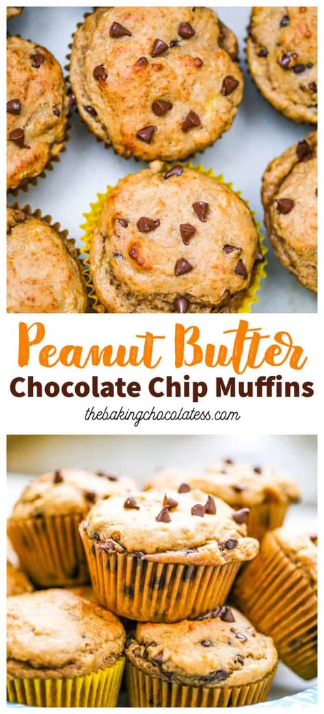 Peanut Butter Muffins - The Baking ChocolaTess Peanut Butter Choc Chip Muffins, Healthy Peanut Butter Muffins, Peanut Butter Muffins Easy, Peanut Butter Breakfast Ideas, Baking Peanut Butter, Banana Peanut Butter Muffins, Blueberry Healthy, Peanut Butter Muffins Recipes, Homemade Chocolate Chip Muffins