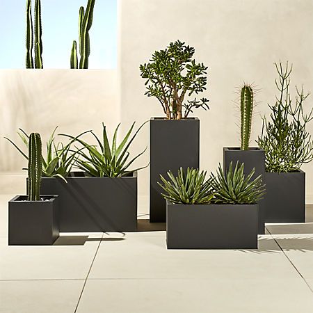 Garden planter boxes