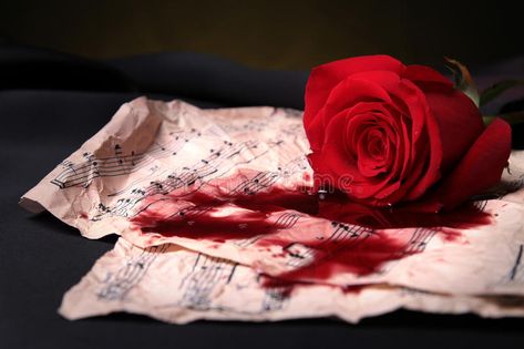 Roses Pictures Aesthetic, Red Blood, Pool Of Blood Reference, Blood Roses Aesthetic, Red Rose Aesthetic, Red Roses Aesthetic, Rosen Blood, Red Rose With Thorns, Wilted Rose Aesthetic