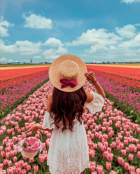 Spring Picture Ideas, Carlsbad Flower Fields, Spring Photoshoot, Flower Photoshoot, Tulip Festival, Tulips Garden, Farm Photo, Tulip Fields, Photography Posing Guide