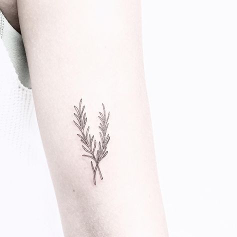 [ pine needles ] for Emily, a beautiful Canadian visiting Australia Rosemary Tattoo, Willow Tattoo, Tattoo Therapy, Pine Tattoo, Art Romance, Willow Tree Tattoos, Tattoo Thoughts, Tattoo Tiny, Tiny Tree