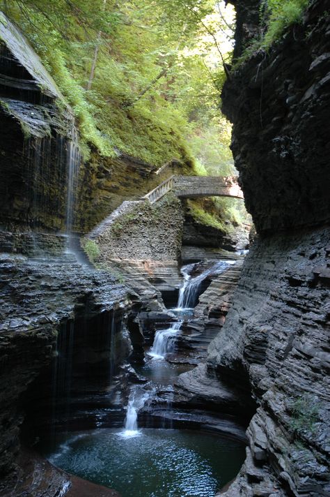 Watkins Glen State Park, NY Ny Waterfalls, Glen Watkins State Park, Fillmore Glen State Park, Watkins Glen Ny, Ricketts Glen State Park, Watkins Glen Gorge Trail, Watkins Glen State Park, Watkins Glen, Pretty Landscapes