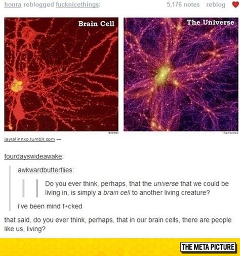 stoner science Natural Phenomena, What’s Going On, Tumblr Posts, Tumblr Funny, Mind Blown, Cosmos, Fun Facts, Brain, Funny Pictures