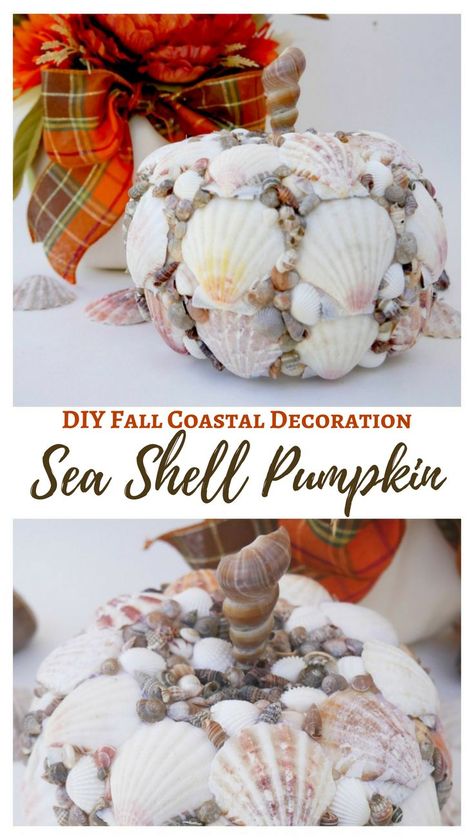 How to make a Seashell Pumpkin - DIY Fall Coastal Decoration #coastal #seashells Seashell Pumpkin, Shell Pumpkin, Decorating Pumpkins, Pumpkin Diy, Fall Parties, Coastal Fall, Pumpkin Uses, Autumn Holiday, Fall Beach