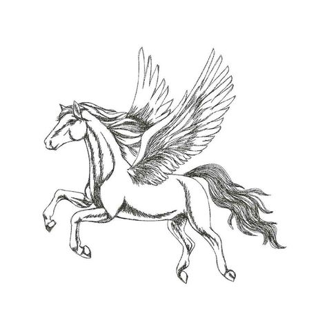 my drawing of pegaso Pegasus Drawing, Horse Couple, Unicorn Embroidery, Horse Embroidery, Cat Embroidery Design, Flying Horse, Winged Horse, Horse Fly, Horse Horse