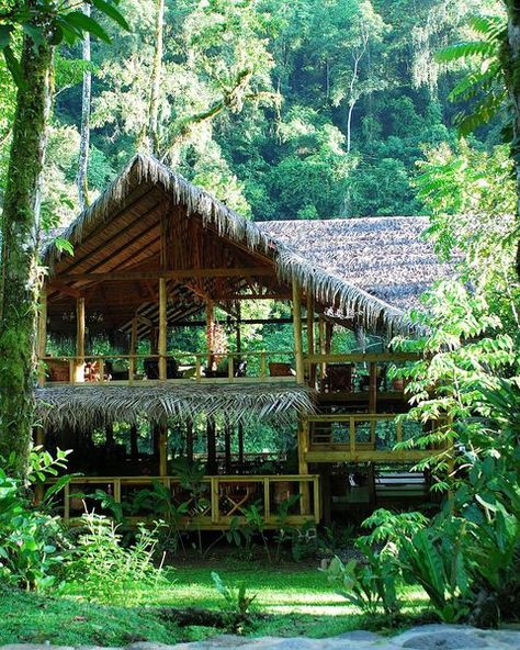 English Countryside Home, Forest Resort, Treehouse Hotel, Jungle House, Resort Architecture, Cool Tree Houses, Eco Lodge, Resort Design, Luxury Tents