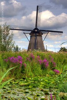 Windmill Images, Tilting At Windmills, Windmill Water, Holland Windmills, Old Windmills, Dutch Windmills, Wind Of Change, Netherlands Travel, Water Wheel