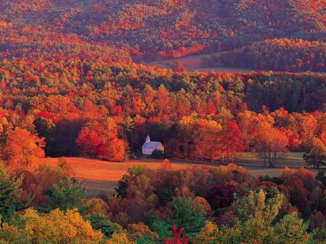 15 Best Places to See the Fall Colors in Gatlinburg and the Great Smoky Mountains National Park Gatlinburg Fall, Tennessee Vacation, Cades Cove, Mountain Vacations, Great Smoky Mountains National Park, Colorful Trees, Autumn Scenery, Smoky Mountain National Park, Fall Travel