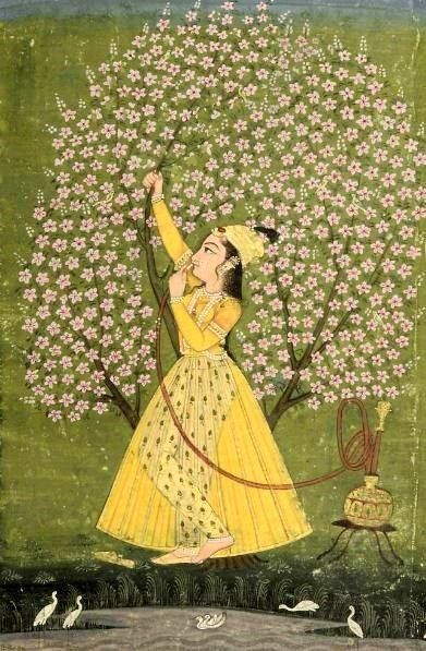 A woman under a blossoming tree, wearing a bejewelled turban, a yellow diaphanous robe and gold trousers, smoking a hookah, Bikaner, India, ca. 1760 Vintage Indian Clothing, Mughal Miniature Paintings, Rajasthani Painting, South Asian Art, Mughal Paintings, Under A Tree, Persian Miniature, Pichwai Paintings, Indian Painting