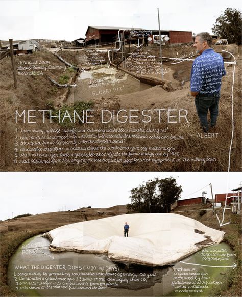 #3.  "Methane Digester".  Marshall, CA. The single largest source of pollution in the State of California is methane from cows.  At Albert Straus’s family dairy a methane digester traps methane before it can enter the atmosphere, breaking it down into solids and liquid fuel that can be used to provide enough electrical power to run the entire dairy operation.  Information artwork by Douglas Gayeton.  From the Lexicon of Sustainability project. Permaculture Food Forest, Join The Dots, Grey Water System, Environmental Ethics, Water Catchment, Appropriate Technology, Off Grid Homestead, Sustainability Projects, Alternative Fuel