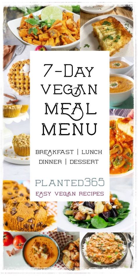 Labor Day is over and kids are back to school! Don’t know what to cook tonight but want something healthy? Are you looking for vegan meal plan ideas? Need some recipes for Meatless Monday? This plant-based, vegan meal plan menu will help. A full day of easy-to-make recipes that will keep you happy and satisfied. Veganuary Meal Plan, Vegeterian Week Meal Plan, Meal Plan Ideas, Vegan Meal Plan, Prediabetic Diet, Vegan Menu, Vegan Lunches, Vegan Inspiration, Vegan Meal Plans