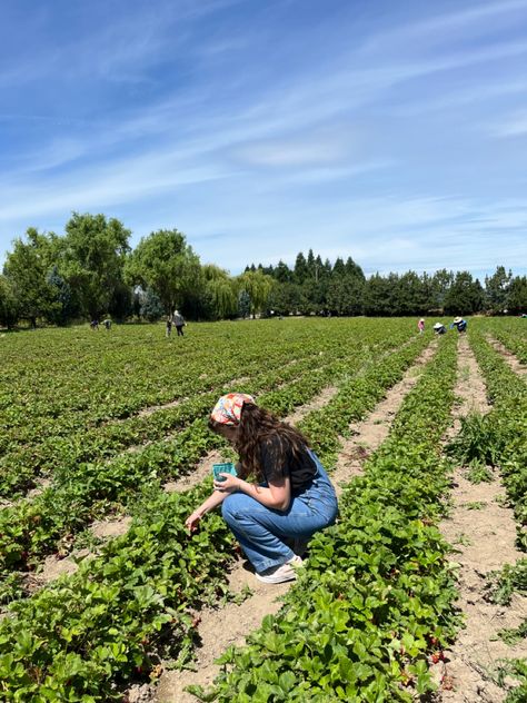 Farm Summer Aesthetic, Strawberry Picking Outfit Aesthetic, Woman Farmer, Berry Picking Outfit, Summer Fruit Aesthetic, Fruit Picking Aesthetic, Berry Picking Aesthetic, Picking Berries, Strawberry Field