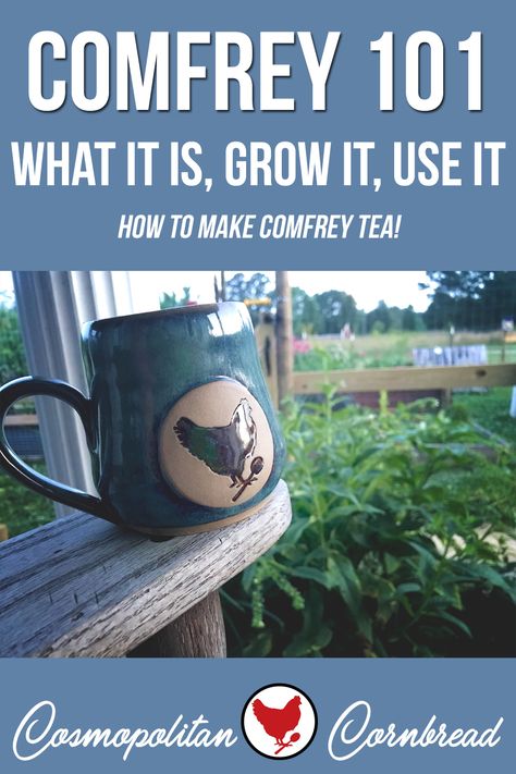 How To Use Comfrey, Comfrey Plant Benefits Of, Comfrey Benefits, Herbal Monographs, Dandelion Tea Recipe, Comfrey Tea, Edens Garden Essential Oils, Herbal Wellness, Comfrey Plant