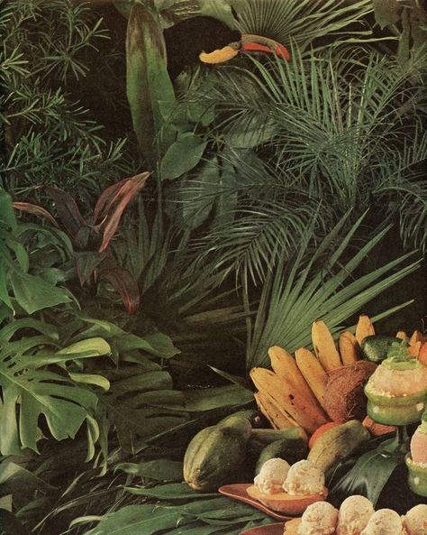 70s Aesthetic, Plant Aesthetic, Island Girl, Tropical Vibes, Nature Aesthetic, Aesthetic Vintage, Green Aesthetic, Island Life, Summer Aesthetic