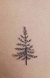 Evergreen Tattoos For Women, Fine Line Evergreen Tattoo, Pine Tree Line Tattoo, Dainty Tats, Tree Line Tattoo, Evergreen Tattoo, Sister Tats, Evergreen Tree Tattoo, Pine Tattoo