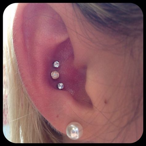 A fun triple conch with jewelry from @bodygems and @neometaljewelry #luckysnoho #safepiercing #conchpiercing #tripleconch Triple Conch Piercing, Conch Ear Piercing, Conch Stud, Ear Piercing Studs, Cute Piercings, Conch Piercing, Body Modifications, Body Mods, Conch