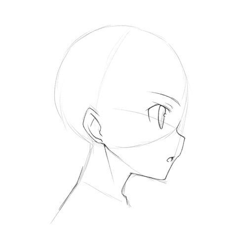 Drawing Tutorial Head, Draw Anime Face, Anime Side View, Draw Head, Side View Drawing, Drawing Anime Bodies, Anime Face Drawing, Head Anatomy, Base Anime