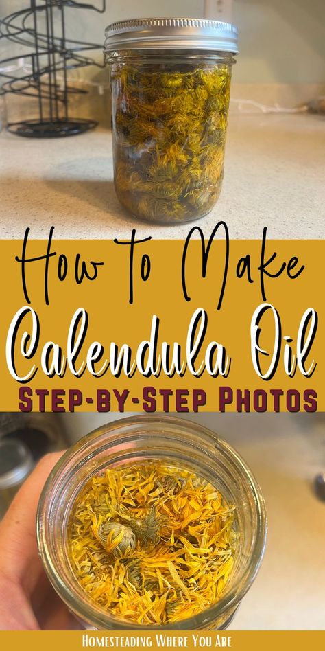 Calendula Oil Diy, Herbal Oil Recipes, Calendula Infused Oil, Medicinal Oils, Calendula Salve, Medicinal Herbs Garden, Salve Recipes, Mountain Rose Herbs, Infused Oil