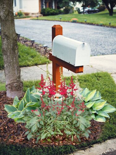 White Astilbe, Mailbox Garden, Mailbox Landscaping, Shade Loving Perennials, Holly House, Growing Bulbs, Herb Garden Kit, Hosta Plants, Shady Tree