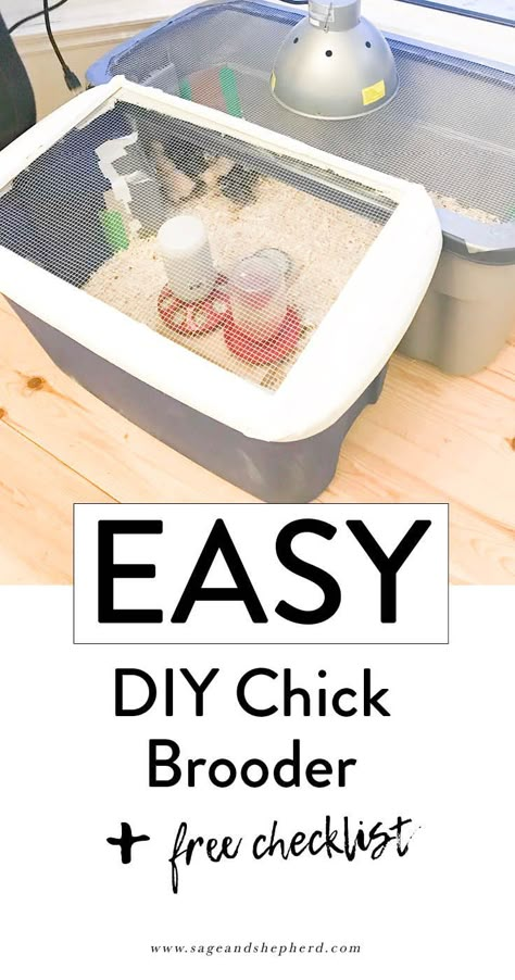 Diy Chick Brooder, Chicken Brooder Box, Chick Brooder, Brooder Box, Chicken Brooder, Raising Chicks, Diy Chicken Coop Plans, Backyard Chicken Farming, Chicken Life