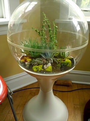 globe terrarium saw one of these on ebay but in the wrong state - so want one 70s Terrarium, Alien Terrarium, Vintage Terrarium, Globe Terrarium, Large Terrarium, 70s House, 1970s Decor, Vintage Memory, Vintage Planters