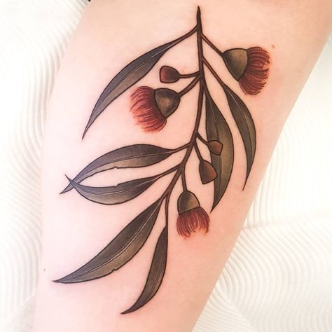 182 Likes, 9 Comments - DREA DARLING TATTOO (@drea.darling) on Instagram: “Blossoming eucalyptus sprig for @_myrle. She has some of my first tattoos so I was stoked to make…” Gumnut Tattoo, Australian Tattoo Ideas, Darling Tattoo, Eucalyptus Tattoo, Tattoo Coverups, Fineline Tattoo Ideas, Max Tattoo, Flower Tats, First Tattoos