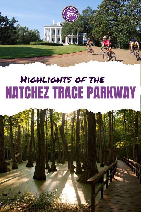 Starting at the southern terminus of the parkway in Natchez, Mississippi, guests will experience southern cooking and visit key historical sites throughout their ride. Each night will be spent at boutique inns rich with their own histories. The tour will conclude in the state capital of Jackson with visits to museums that tie the whole experience together. Natchez Trace Parkway, Natchez Mississippi, Natchez Trace, State Capital, State Capitals, Southern Cooking, Bike Tour, Historical Sites, Mississippi