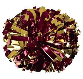 Cheerleading Pom Pom, Hogwarts School Supplies, Gold Pom Poms, Youth Cheerleading, Cheerleading Pom Poms, Heartbreak High, Cheer Pom Poms, Cheerleading Squad, Cheer Workouts