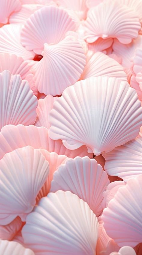 Sea shell petal invertebrate backgrounds. | premium image by rawpixel.com Pink Shells Aesthetic, Pearl Aesthetic, Spirituality Affirmations, Cartoon Flowers, Download Free Images, Cute Wallpaper Backgrounds, Pink Wallpaper, Mobile Wallpaper, Creative Studio