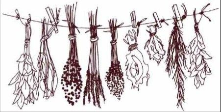 Herbalism Tattoo Ideas, Herbalist Tattoo, Apothecary Tattoo, Herb Tattoo, Herb Rack, Hanging Herbs, Journal Inspiration Writing, Mushroom Tattoos, Witch Tattoo