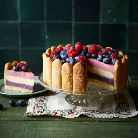 Genoise Sponge, German Baking, Springform Pan Cake, Bavarian Cream, Raspberry Liqueur, Baking Book, Orange Blossom Water, Lady Fingers, Christmas Cactus